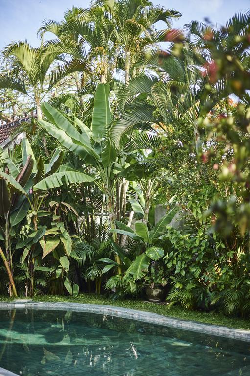 The Island Houses Seminyak المظهر الخارجي الصورة